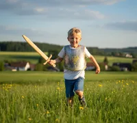 Brustpanzer Adler mit Gurten, 32x31 cm, Silber/Gold - Bild 3
