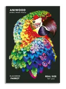 ANIWOOD PAPAGEI M - Bild 5